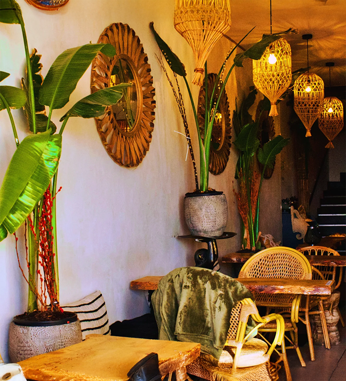 Le restaurant - Jungle - restaurant La Rochelle - Meilleur restaurant La Rochelle