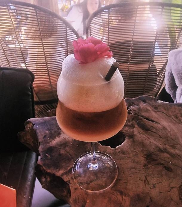 Jungle - restaurant LA ROCHELLE - top resto LA ROCHELLE